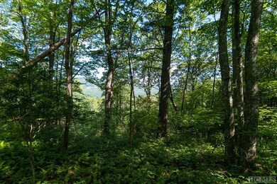 Lot 6 E Ridge Rd, Cashiers, NC 28717 - photo 4