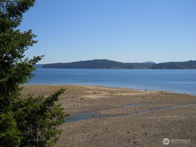 0 XXX N Triton Heights Rd, Lilliwaup, WA 98555 - photo 5