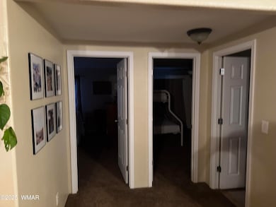 115 Foothills Blvd, Taylor, AZ 85939 - photo 6