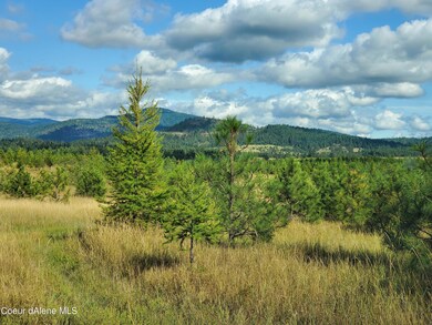 NKA Ogara Rd, Harrison, ID 83833 - photo 4