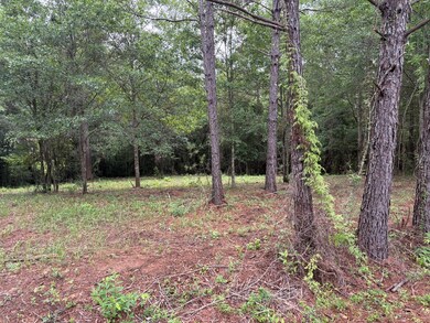 13 Pocahontas Ln, Carriere, MS 39426 - photo 4