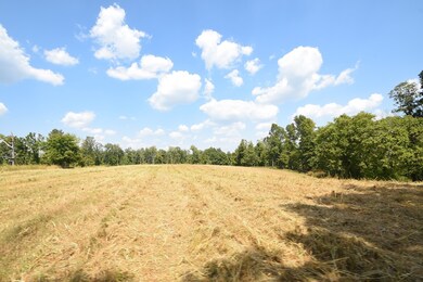 0 Moore Hollow Rd unit RTC3000716, Indian Mound, TN 37079 - photo 2