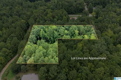 0 Penny Ln unit 21427542, Odenville, AL 35120 - photo 6