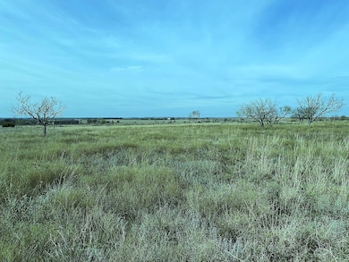 2335 County Road 619, Pottsville, TX 76565 - photo 3