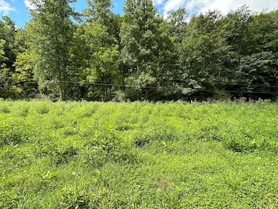 1730 Williams Creek, Rush, KY 41168 - photo 2