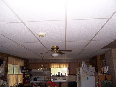 Ceiling Fans