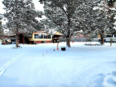 Frans house front left snow