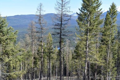 883 Wolverine Dr, Seeley Lake, MT 59868 - photo 5