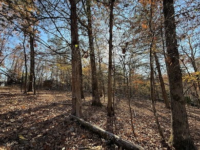 Lot 40 Point Ct, Sundown, MO 65761 - photo 3