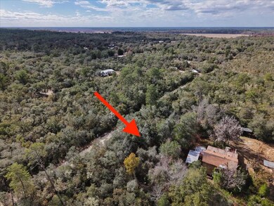 0 NE 233rd Ln unit 25700426, Fort Mc Coy, FL 32134 - photo 5