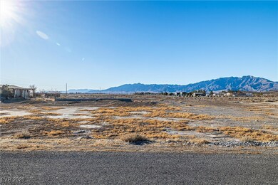 4051 Forest Rd, Pahrump, NV 89048 - photo 5