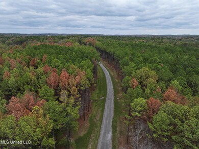 dji_fly_20231122_150620_0001_17007052902