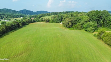 DJI_0344_1