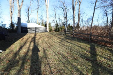 Large backyard