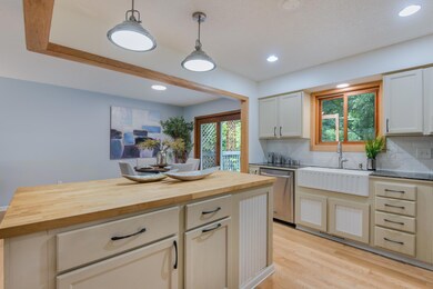 4600 Fern St, Maple Plain, MN 55359 - photo 7