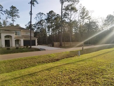 0 Morgan Cemetery Rd, Cleveland, TX 77328 - photo 6