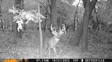 Highway 24 Lot unit WP001, Keytesville, MO 65261 - photo 5