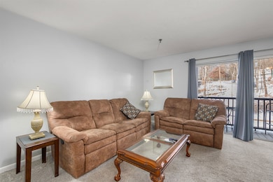 131 Lake St unit 230, Gilford, NH 03249 - photo 7