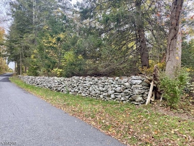 7 Stempert Rd, Branchville, NJ 07826 - photo 5