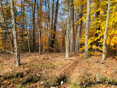 0 Ridgewood Dr, Acton, ME 04001 - photo 3