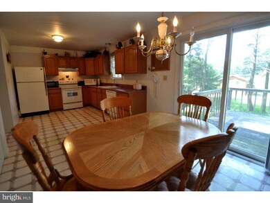 19 Bald Eagle Dr, Ashland, PA 17921 - photo 5