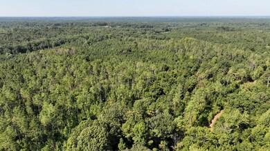 0 Scott Center Rd, Fulton, MS 38843 - photo 6