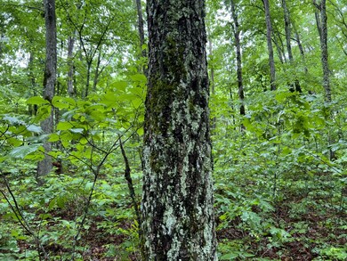 0 Burgess Loop unit RTC2389168, Crossville, TN 38572 - photo 5