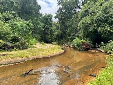 180.14 Johnson Mill Rd, Hamilton, GA 31811 - photo 6