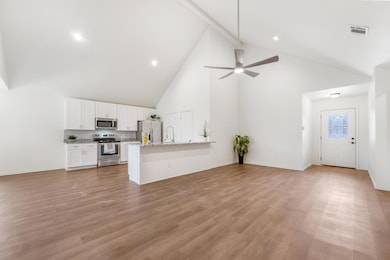 3019 Brazos River Dr, Granbury, TX 76048 - photo 4