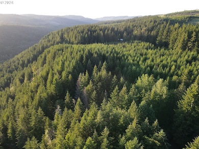 0 S Dickey Prairie Rd unit 24012878, Molalla, OR 97038 - photo 6