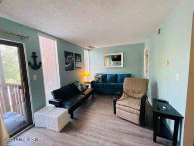 145 State Park Rd unit P2, Jamestown, KY 42629 - photo 3