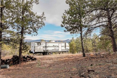 000 Twinkle Rd, Guffey, CO 80820 - photo 7