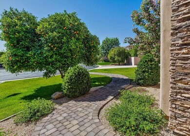 Front Yard 7 2-HDR
