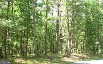 0 Crooked Pine Dr, Berkeley Springs, WV 25411 - photo 5