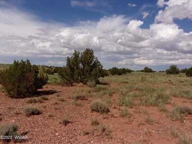 5371 Valley Rd, Snowflake, AZ 85937 - photo 6