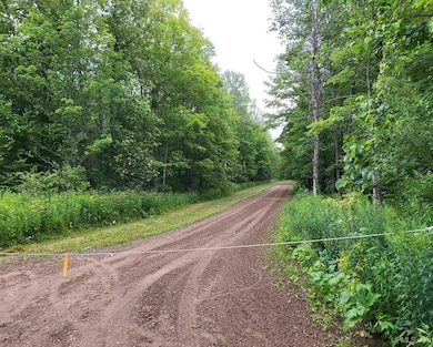 TBD Dream Lake Rd unit Lot 2, Long Lake T-Wi, WI 54542 - photo 4