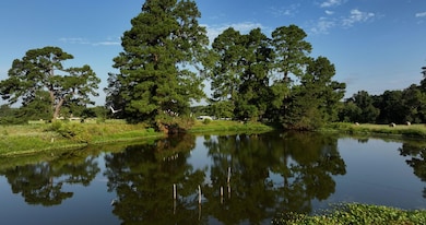 0 Johnson Rd unit 24630622, Montgomery, TX 77356 - photo 5