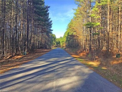 298 Cove Wood Dr, Denton, NC 27239 - photo 2