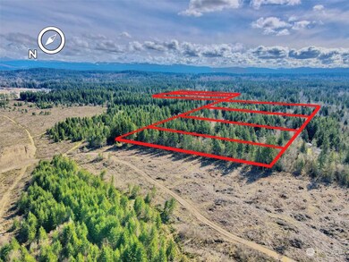 200th 256th St E, Graham, WA 98338 - photo 3