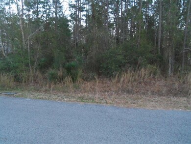 0 Hemlock Trace unit MFROM531203, Ocala, FL 34472 - photo 7