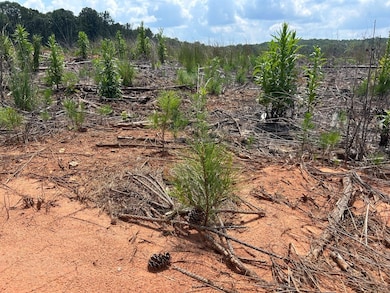 162 Tuggle Rd, Eatonton, GA 31024 - photo 7