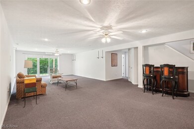 731 Grand View Ln, Aurora, OH 44202 - photo 7