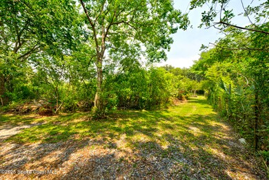 path to back of property