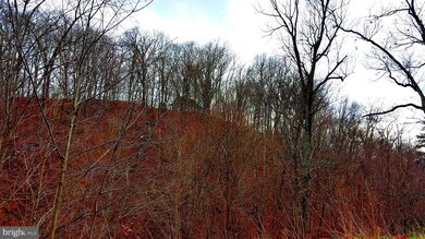 14 Carlin Ln, Great Cacapon, WV 25422 - photo 7