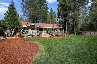 30726 Shingletown Ridge Rd, Shingletown, CA 96088 - photo 6