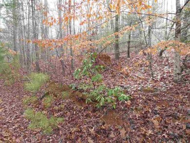 1e Watermelon Way unit Fiddlers Cove, Tract, Tamassee, SC 29686 - photo 3