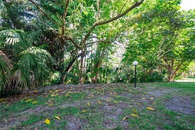 View of local wilderness