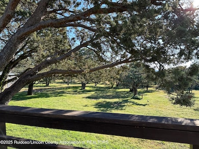 401 Enchanted Forest Loop, Alto, NM 88312 - photo 3