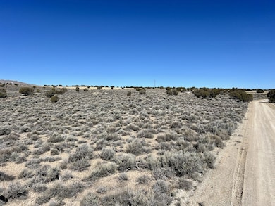 0 Lee Ave unit 3626046, Spring Creek, NV 89815 - photo 5