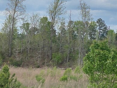 12 Crest Line Dr, Upatoi, GA 31829 - photo 7